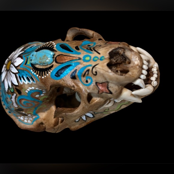 American Badger skull handpainted art skeletons  turquoise OOAK home decor - Picture 6 of 8